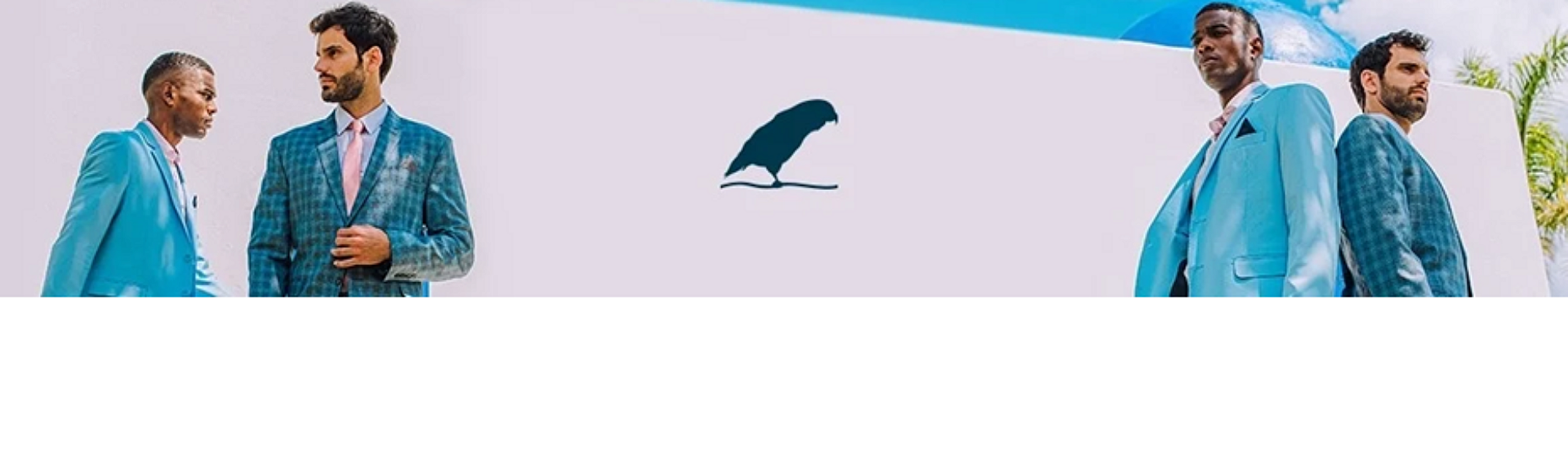 Imagem de capa